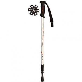 Bastoni per Camminata con Impugnatura Rigida e Soft Touch Abbey