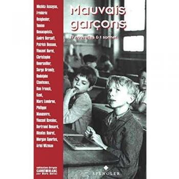 Mauvais garçons : 17 nouvelles et 1 sonnet