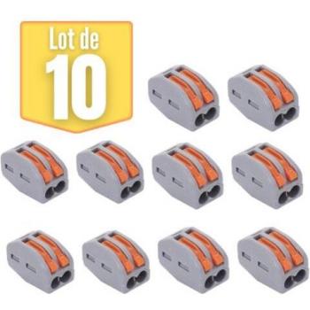 Braytron 2-Fil Connectors with Lever – Pack of 10