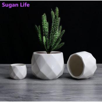 Small Bonsai Pots