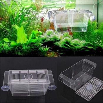 Incubateur d'aquarium