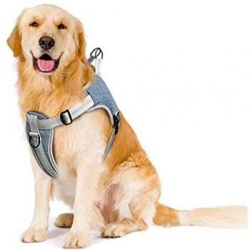 TAMOWA Harnais Chien Réfléchissant XL Bleu