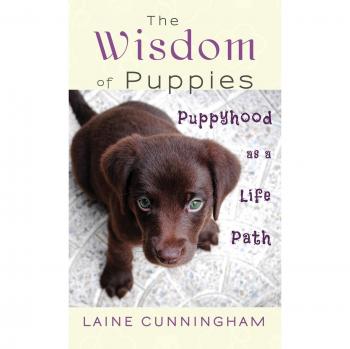 The Wisdom of Puppies: Puppyhood as a Life Path