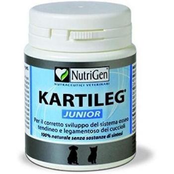 Kartileg junior 600 tavolette