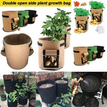 Contenants de culture pour carottes et légumes