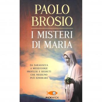 I misteri di Maria. Da Saragozza a Medjugorje profezie e segreti che nessuno può ignorare