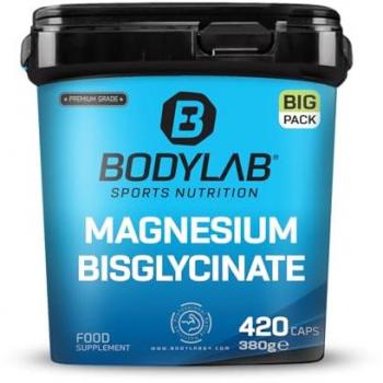 Premium Magnesium Bisglycinat BIG PACK, 420 Kapseln