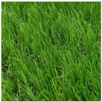 Prato Artificiale 2X6M 40MM Soffice e Liscio