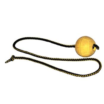 Dingo Gear Balle de Chien avec Corde 7 cm