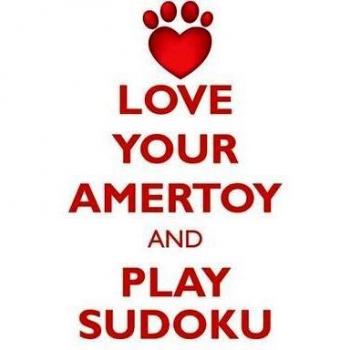 LOVE YOUR AMERTOY AND PLAY SUDOKU AMERICAN TOY