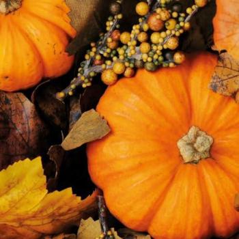 Herbstpumpkin Servietten-Set 20 Stück – Home Fashion