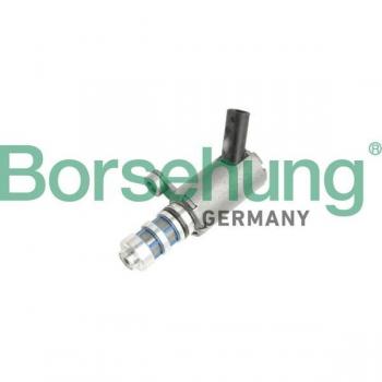 Borsehung B11858