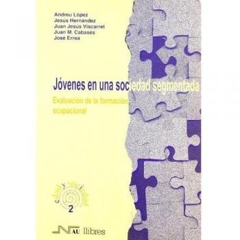 Jóvenes en una sociedad segmentada. Evaluación de la formaci