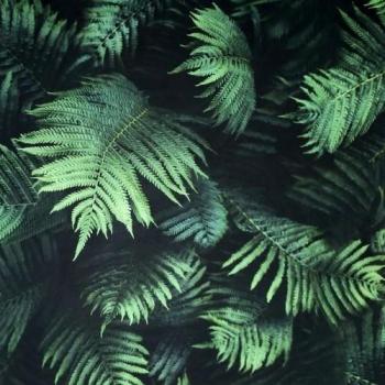 Background Felce D'Autore 10m x 53cm