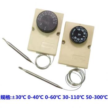 Capillary Thermostat with Waterproof Enclosure