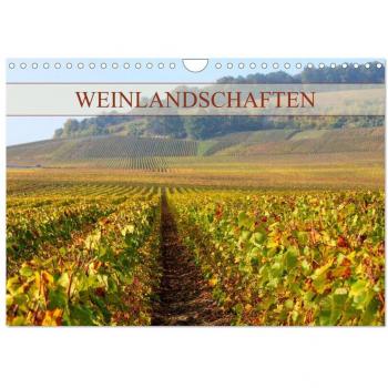 Weinlandschaften (Wandkalender 2025 DIN A4 quer) CALVENDO Monatskalender