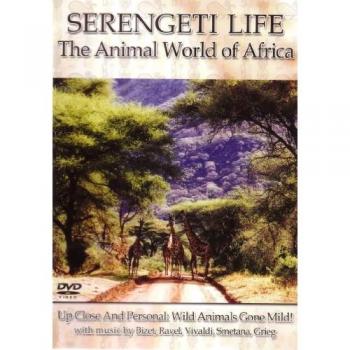 Monde animal de l’Afrique – Vidéo Serengeti Life
