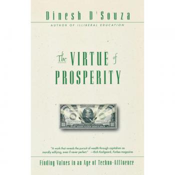 The Virtue of Prosperity: Finding Values in an Age of Techno-Affluence