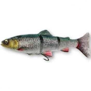 Esca da Spinning 4D Line Thru Trout 25 cm 180 g Green Silver