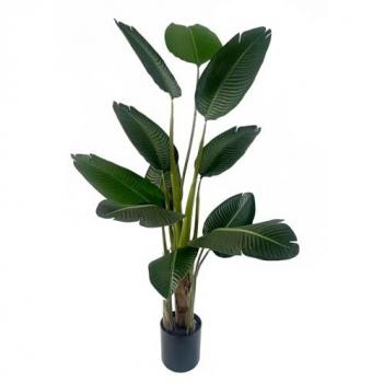 Leaf