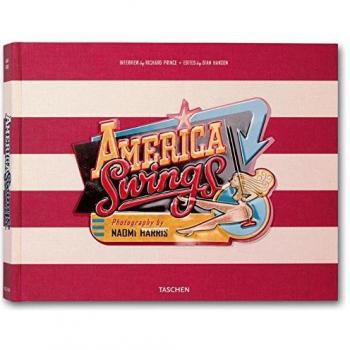 America Swings by Naomi Harris