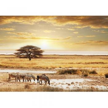 Vlies-Fototapete 400x280 cm “Wildtiere” – Premium Plus Version