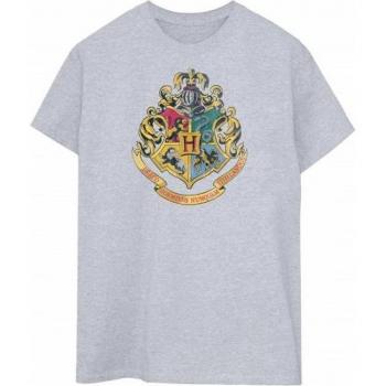 Harry Potter Fan T-Shirt XXL grau