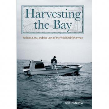 Vitalsource Technologies, Inc. Harvesting The Bay