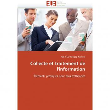 Collecte et traitement de l'information: Éléments pratiques pour plus d'efficacité
