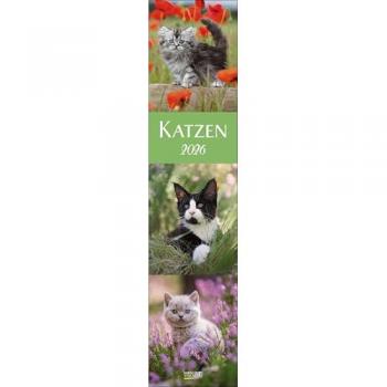 Katzen Langplaner 2026