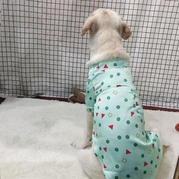 Pijamas Lujo Dorado para Labrador y Samoyed XL