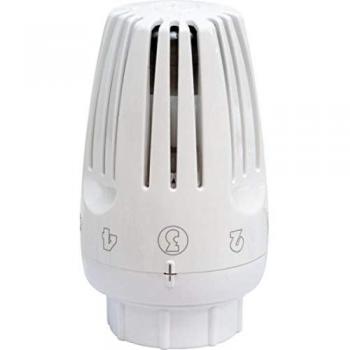 Tête thermostatique liquide R469H Giacomini