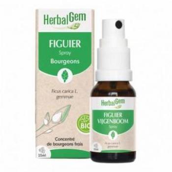 Pileje Durazno 15×4g Fortificado