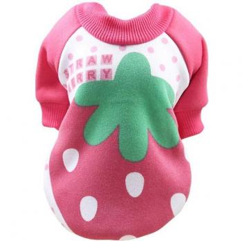 Small Dog Hooded Shirts