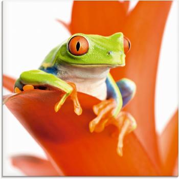 Glasbild ARTLAND Frosch auf dem Thron, orange (Farbe Bild: orange), B:20cm H:20cm, Bilder, in verschiedenen Größen