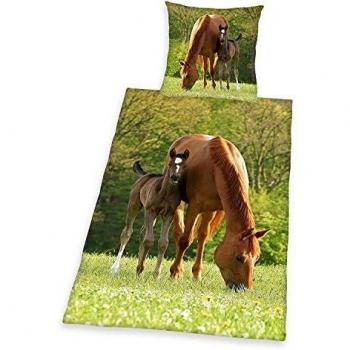 Drap-housse et taie d'oreiller coton 100%, motif poney pour enfants