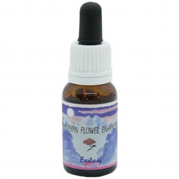 ECSTASY ESSENZA 15ML NATUR