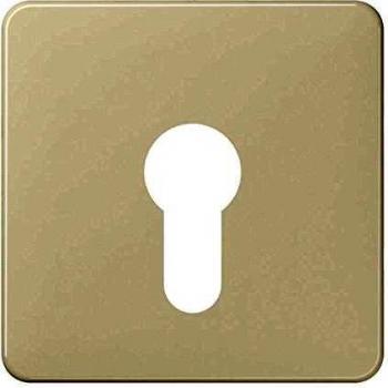 Accessori Switch JUNG GLZ 525