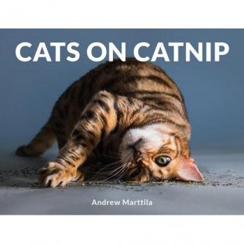 Cats on Catnip