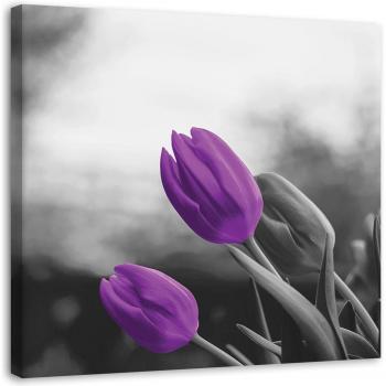Canvas Print of Purple Tulips, 30x30 Violet