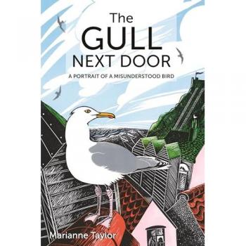 The Gull Next Door : A Portrait of a Misunderstood Bird