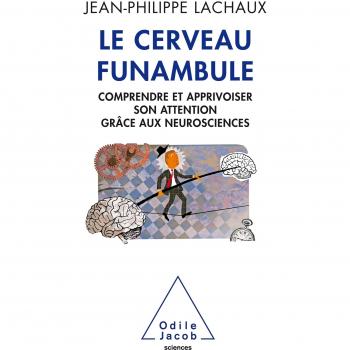 Le Cerveau funambule