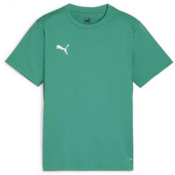 Puma TeamGOAL Jr T-shirt Verde Bambini 140