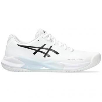 Asics Gel-Challenger 14 Men's All Court Footwear