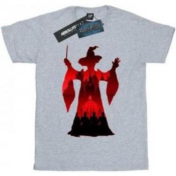 Harry Potter Mens Minerva McGonagall Silhouette T-Shirt S grey