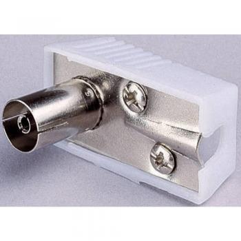 Renkforce Koax-Winkelkupplung 7.2 mm IEC Buchse für Antennenkabel