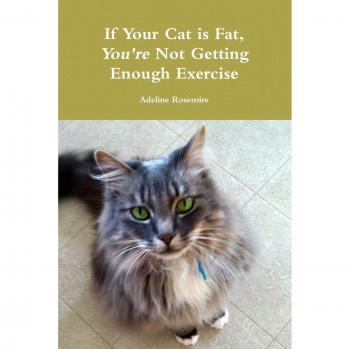 If Your Cat is Fat, You're Not Getting Enough Exercise