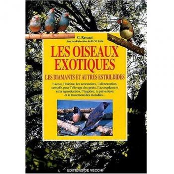 Les oiseaux exotiques : Les Diamants et autres Estrildidés