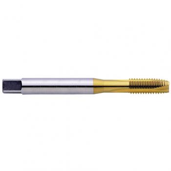 Eventus by Exact 11301 Maschinengewindebohrer M3 0.5 mm DIN 371 HSS