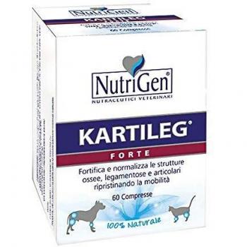 KARTILEG FORTE HE 60TAV
